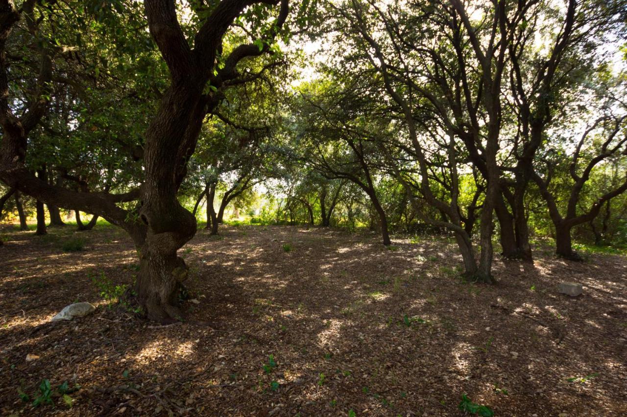 Masseria Poli Country House コンヴェルサーノ エクステリア 写真
